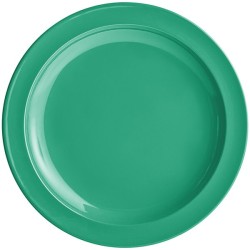 Plato de melamina redondo de 9 VERDE